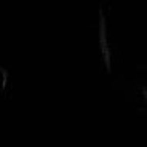 Meet your Posher, Tala